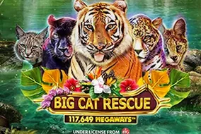 Big Cat Rescue Megaways
