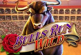 Bulls Run Wild