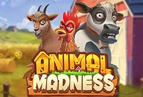 Animal Madness
